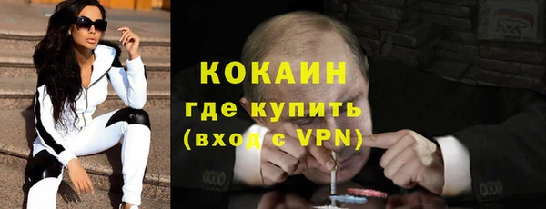 амф Гусь-Хрустальный