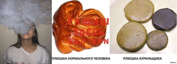 амф Гусь-Хрустальный