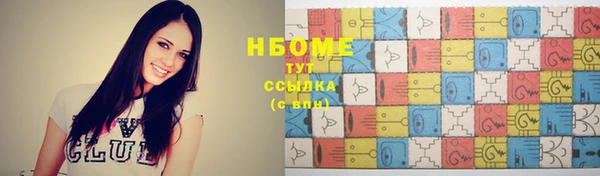 амф Гусь-Хрустальный