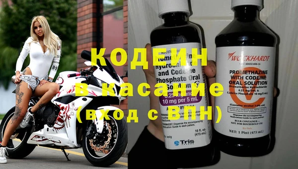 амф Гусь-Хрустальный