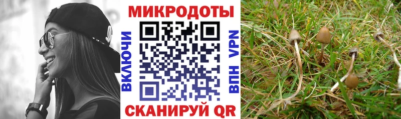 Купить где  Полевской  Псилоцибиновые грибы прущие грибы 