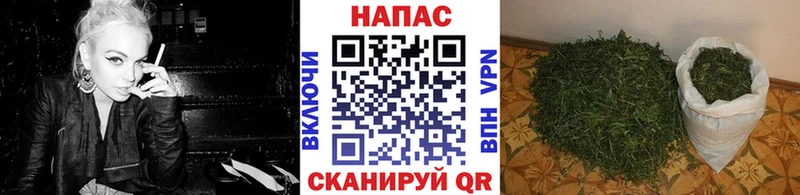 Каннабис Bruce Banner  Купить  Полевской 